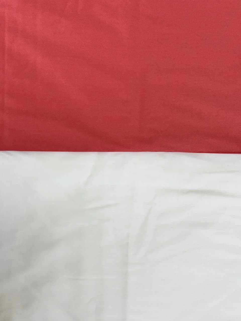 A3
