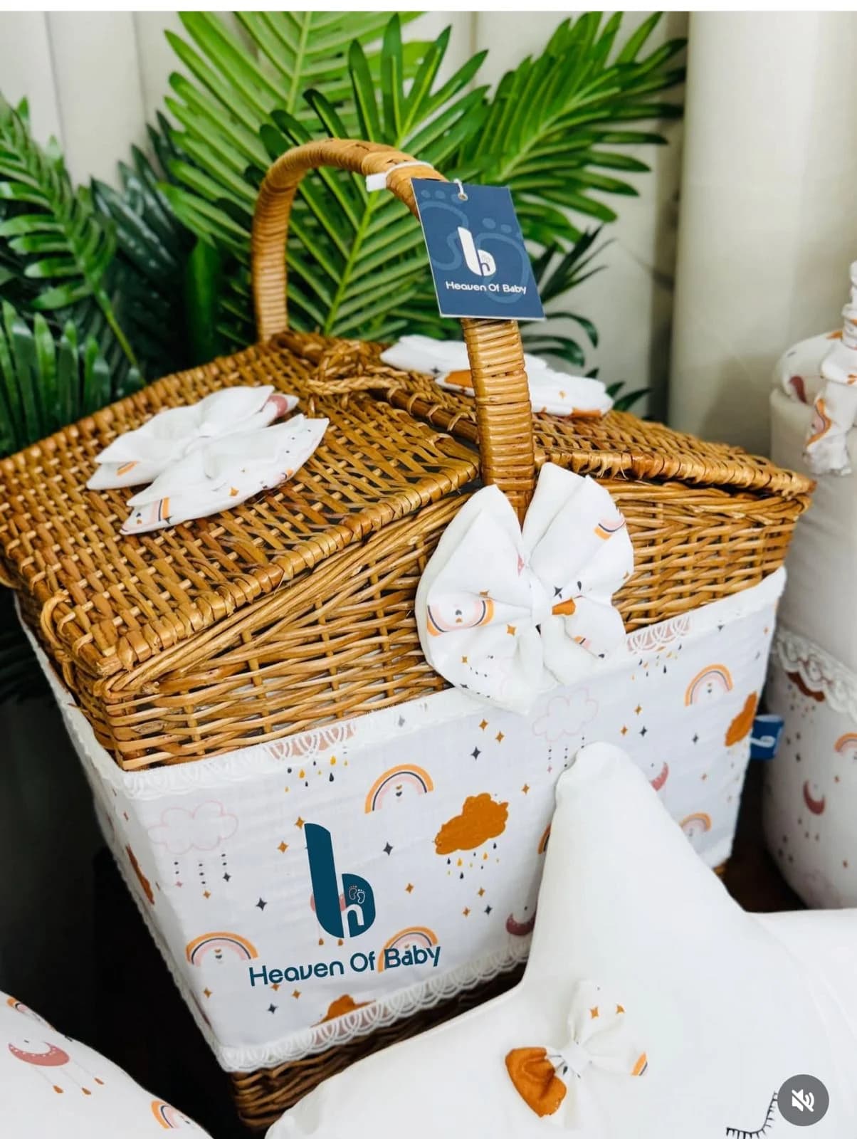 Cane basket